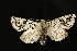  ( - Dun-08-157)  @13 [ ] Unspecified (default): All Rights Reserved  Unspecified Unspecified