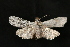  ( - Dun-08-167)  @14 [ ] Unspecified (default): All Rights Reserved  Unspecified Unspecified