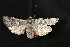 ( - Dun-08-168)  @11 [ ] Unspecified (default): All Rights Reserved  Unspecified Unspecified