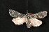  ( - Dun-08-171)  @13 [ ] Unspecified (default): All Rights Reserved  Unspecified Unspecified