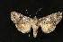  ( - Dun-08-184)  @12 [ ] Unspecified (default): All Rights Reserved  Unspecified Unspecified