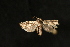  ( - Dun-08-315)  @11 [ ] Unspecified (default): All Rights Reserved  Unspecified Unspecified