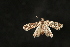  ( - Dun-08-316)  @11 [ ] Unspecified (default): All Rights Reserved  Unspecified Unspecified