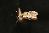  ( - Dun-08-317)  @12 [ ] Unspecified (default): All Rights Reserved  Unspecified Unspecified