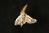  ( - Dun-08-319)  @12 [ ] Unspecified (default): All Rights Reserved  Unspecified Unspecified