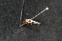  ( - Dun-08-361)  @12 [ ] Unspecified (default): All Rights Reserved  Unspecified Unspecified