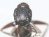  ( - HF2009.009)  @12 [ ] Unspecified (default): All Rights Reserved  Unspecified Unspecified