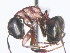  ( - HF2009.009)  @13 [ ] Unspecified (default): All Rights Reserved  Unspecified Unspecified