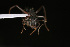  ( - NCSU-DF0001)  @13 [ ] Unspecified (default): All Rights Reserved  Unspecified Unspecified