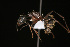  ( - NCSU-DF0001)  @13 [ ] Unspecified (default): All Rights Reserved  Unspecified Unspecified