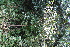  ( - AVM16)  @11 [ ] CreativeCommons - Attribution Non-Commercial Share-Alike (2019) Rafael F. del Castillo Instituto Politécnico Nacional
