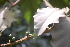  ( - AVM16)  @11 [ ] CreativeCommons - Attribution Non-Commercial Share-Alike (2019) Rafael F. del Castillo Instituto Politécnico Nacional