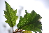  ( - AVM16)  @11 [ ] CreativeCommons - Attribution Non-Commercial Share-Alike (2019) Rafael F. del Castillo Instituto Politécnico Nacional