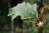  ( - AVM16)  @11 [ ] CreativeCommons - Attribution Non-Commercial Share-Alike (2019) Rafael F. del Castillo Instituto Politécnico Nacional
