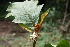  ( - AVM16)  @11 [ ] CreativeCommons - Attribution Non-Commercial Share-Alike (2019) Rafael F. del Castillo Instituto Politécnico Nacional