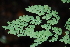  ( - AVM40)  @11 [ ] CreativeCommons - Attribution Non-Commercial Share-Alike (2019) Rafael F. del Castillo Instituto Politécnico Nacional