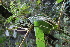  ( - AVM46)  @11 [ ] CreativeCommons - Attribution Non-Commercial Share-Alike (2019) Rafael F. del Castillo Instituto Politécnico Nacional