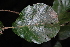  ( - AVM53)  @11 [ ] CreativeCommons - Attribution Non-Commercial Share-Alike (2019) Rafael F. del Castillo Instituto Politécnico Nacional