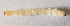  ( - NK2694)  @11 [ ] Copyright (2024) Natalia Kirichenko Sukachev institute of Forest SB RAS