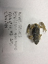  ( - BIOUG-EAC003)  @11 [ ] Unspecified (default): All Rights Reserved  Unspecified Unspecified