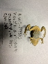 ( - BIOUG-EAC003)  @11 [ ] Unspecified (default): All Rights Reserved  Unspecified Unspecified