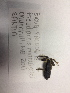  ( - BIOUG-EAC006)  @12 [ ] Unspecified (default): All Rights Reserved  Unspecified Unspecified