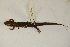  ( - MCZ Herp A-146087)  @11 [ ] Unspecified (default): All Rights Reserved  Unspecified Unspecified