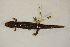  ( - MCZ Herp A-143698)  @11 [ ] Unspecified (default): All Rights Reserved  Unspecified Unspecified