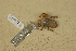 ( - USNM 224172)  @11 [ ] CreativeCommons - Attribution (2013) Unspecified Centre for Biodiversity Genomics