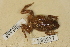  ( - USNM 299627)  @11 [ ] CreativeCommons - Attribution (2013) Unspecified Centre for Biodiversity Genomics