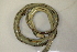  ( - MCZ Herp R-79632)  @11 [ ] CreativeCommons - Attribution (2013) Unspecified Centre for Biodiversity Genomics