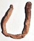  ( - E7VDH92)  @12 [ ] Copyright (2014) PHCDBS Paul Hebert Center for DNA Barcoding and Biodiversity Studies