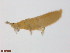  ( - BIOUG01715-A05)  @12 [ ] CreativeCommons - Attribution (2014) CBG Photography Group Centre for Biodiversity Genomics