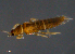  ( - DPMIT-46-F12)  @13 [ ] CreativeCommons - Attribution (2013) Monica Young Centre for Biodiversity Genomics
