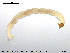  ( - EBAI-Ch010)  @12 [ ] CreativeCommons - Attribution Non-Commercial Share-Alike (2016) NTNU University Museum, Department of Natural History NTNU University Museum, Department of Natural History