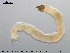  ( - EBAI-Ch011)  @12 [ ] CreativeCommons - Attribution Non-Commercial Share-Alike (2016) NTNU University Museum, Department of Natural History NTNU University Museum, Department of Natural History
