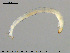  ( - EBAI-Ch112)  @12 [ ] CreativeCommons - Attribution Non-Commercial Share-Alike (2016) NTNU University Museum, Department of Natural History NTNU University Museum, Department of Natural History