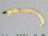  ( - EBAI-Ch154)  @11 [ ] Creative Commons  Attribution Non-Commercial Share-Alike (2016) NTNU University Museum, Department of Natural History NTNU University Museum, Department of Natural History