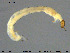  ( - EBAI-Ch156)  @11 [ ] Creative Commons  Attribution Non-Commercial Share-Alike (2016) NTNU University Museum, Department of Natural History NTNU University Museum, Department of Natural History