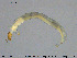  ( - EBAI-Ch160)  @11 [ ] Creative Commons  Attribution Non-Commercial Share-Alike (2016) NTNU University Museum, Department of Natural History NTNU University Museum, Department of Natural History
