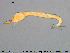  ( - EBAI-Ch161)  @12 [ ] Creative Commons  Attribution Non-Commercial Share-Alike (2016) NTNU University Museum, Department of Natural History NTNU University Museum, Department of Natural History