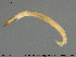  ( - EBAI-Ch162)  @12 [ ] Creative Commons  Attribution Non-Commercial Share-Alike (2016) NTNU University Museum, Department of Natural History NTNU University Museum, Department of Natural History