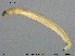  ( - EBAI-Ch201)  @12 [ ] Creative Commons  Attribution Non-Commercial Share-Alike (2016) NTNU University Museum, Department of Natural History NTNU University Museum, Department of Natural History