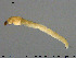  ( - EBAI-Ch202)  @12 [ ] Creative Commons  Attribution Non-Commercial Share-Alike (2016) NTNU University Museum, Department of Natural History NTNU University Museum, Department of Natural History
