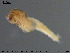  ( - EBAI-Ch022)  @12 [ ] CreativeCommons - Attribution Non-Commercial Share-Alike (2016) NTNU University Museum, Department of Natural History NTNU University Museum, Department of Natural History