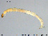  ( - EBAI-Ch222)  @11 [ ] Creative Commons  Attribution Non-Commercial Share-Alike (2016) NTNU University Museum, Department of Natural History NTNU University Museum, Department of Natural History