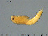 ( - EBAI-Ch245)  @11 [ ] Creative Commons  Attribution Non-Commercial Share-Alike (2016) NTNU University Museum, Department of Natural History NTNU University Museum, Department of Natural History