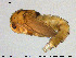  ( - EBAI-Ch266)  @12 [ ] Creative Commons  Attribution Non-Commercial Share-Alike (2017) NTNU University Museum, Department of Natural History NTNU University Museum, Department of Natural History