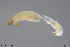  ( - EBAI-Ch271)  @11 [ ] Creative Commons  Attribution Non-Commercial Share-Alike (2021) NTNU University Museum, Department of Natural History NTNU University Museum, Department of Natural History