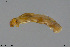  ( - EBAI-Ch276)  @11 [ ] Creative Commons  Attribution Non-Commercial Share-Alike (2021) NTNU University Museum, Department of Natural History NTNU University Museum, Department of Natural History